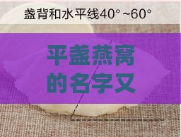 平盏燕窝的名字又叫什么