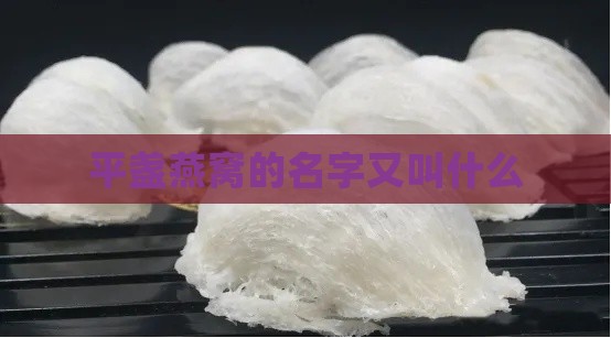 平盏燕窝的名字又叫什么