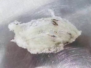 燕窝辨别质量标准是什么