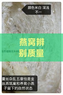 燕窝辨别质量标准是什么