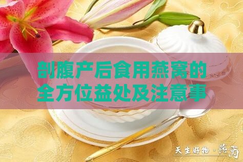 剖腹产后食用燕窝的全方位益处及注意事项