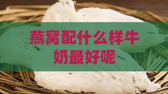 燕窝配什么样牛奶更好呢