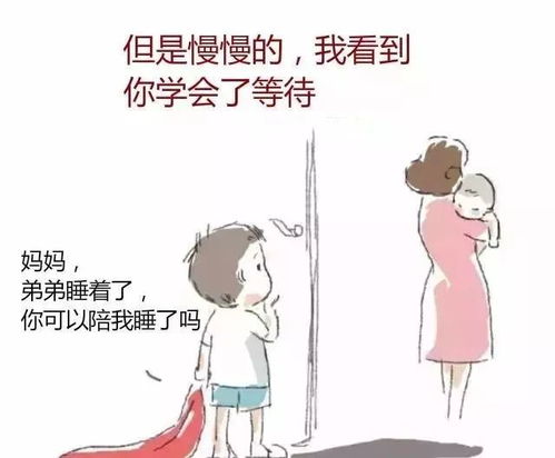 生孩子送燕窝的传统习俗及其寓意与好处解析