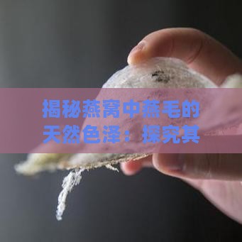 揭秘燕窝中燕毛的天然色泽：探究其颜色秘密