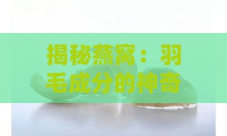 揭秘燕窝：羽毛成分的神奇保健功效与用途