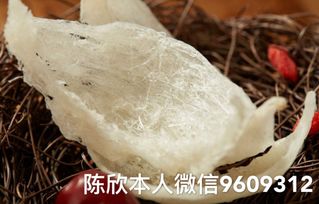 燕窝食用是否具有除湿功效：揭秘其真实作用