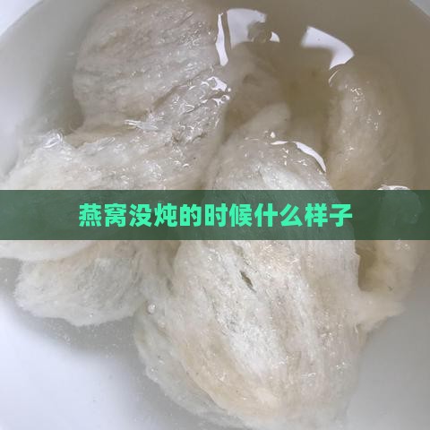 燕窝没炖的时候什么样子