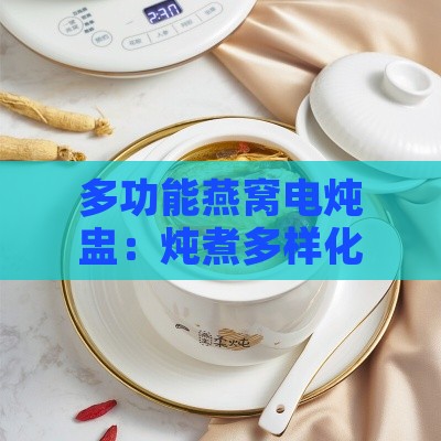 多功能燕窝电炖盅：炖煮多样化汤品，解锁家常美食与营养滋补