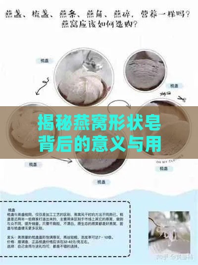 揭秘燕窝形状皂背后的意义与用途：全方位解析其独特设计与功效