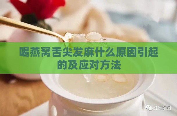 喝燕窝舌尖发麻什么原因引起的及应对方法