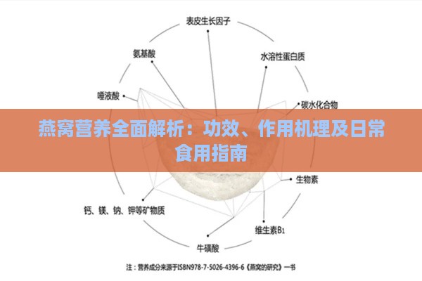 燕窝营养全面解析：功效、作用机理及日常食用指南