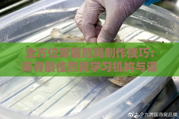 全方位掌握燕窝制作技巧：探寻更佳燕窝学习机构与课程推荐