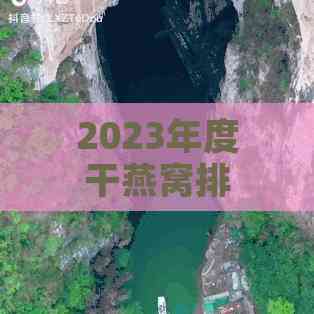 2023年度干燕窝排行榜：全面评测与推荐，助您选购优质产品