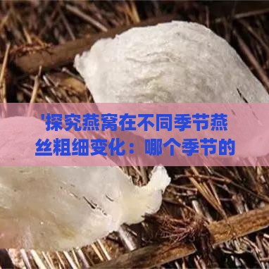 '探究燕窝在不同季节燕丝粗细变化：哪个季节的燕丝更粗壮'