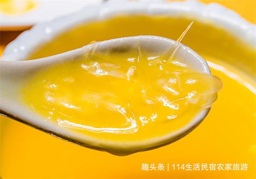 鱼翅燕窝营养价值高吗：食用指南与营养分析