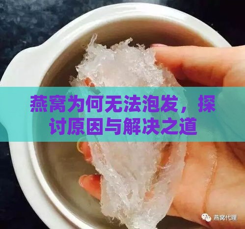 燕窝为何无法泡发，探讨原因与解决之道