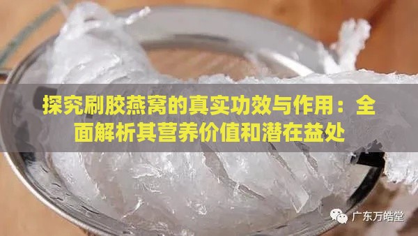 探究刷胶燕窝的真实功效与作用：全面解析其营养价值和潜在益处