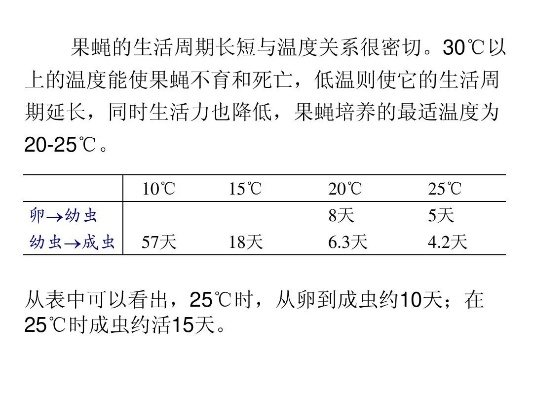 探究长期食用燕窝的果蝇生活状态与外貌变化