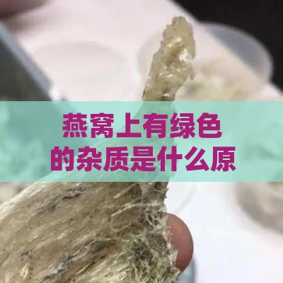 燕窝上有绿色的杂质是什么原因及物质组成分析