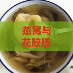 燕窝与花胶搭配的多种食用方法及营养功效解析