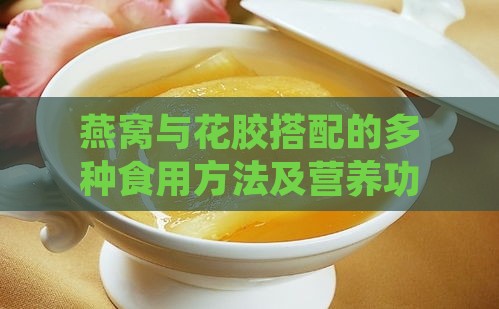 燕窝与花胶搭配的多种食用方法及营养功效解析