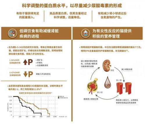 燕窝唾液酸伪科学：探讨其危害、作用、功效与研究现状及与其他食物的比较