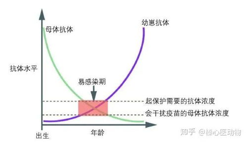 '燕窝价格指南：探寻高性价比燕窝的更佳价位区间'