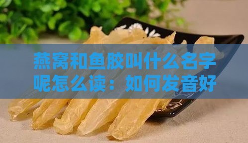 燕窝和鱼胶叫什么名字呢怎么读：如何发音好听且含义完整？