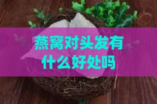 燕窝对头发有什么好处吗