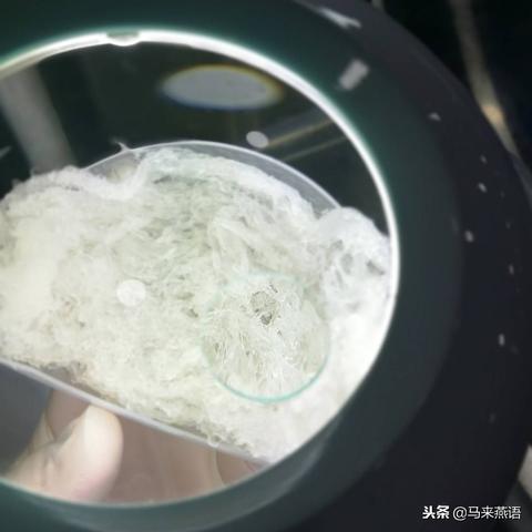 燕窝煮好之后是什么样子