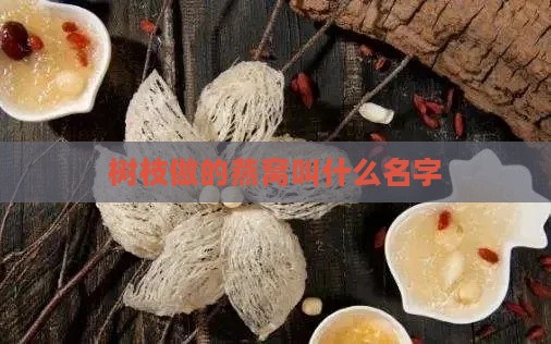 树枝做的燕窝叫什么名字