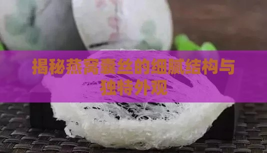 揭秘燕窝囊丝的细腻结构与独特外观