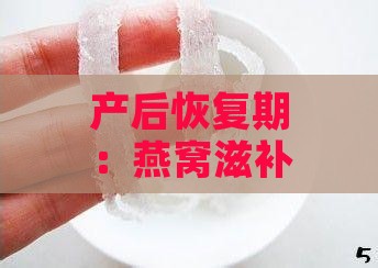 产后恢复期：燕窝滋补的更佳摄入时机与建议