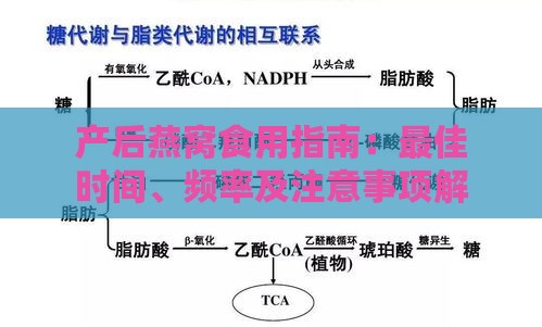 产后燕窝食用指南：更佳时间、频率及注意事项解析