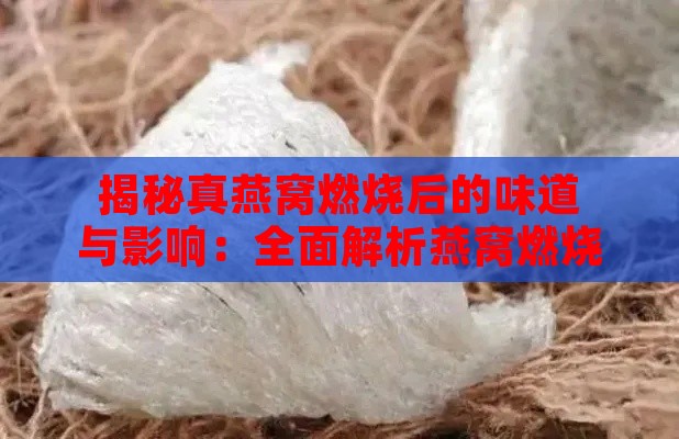 揭秘真燕窝燃烧后的味道与影响：全面解析燕窝燃烧的秘密