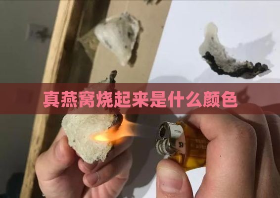 真燕窝烧起来是什么颜色