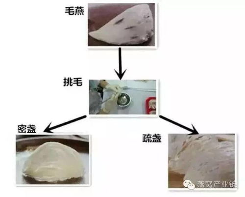 燕窝成品市场价格解析：探究即食燕窝常规价格区间