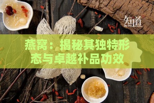 燕窝：揭秘其独特形态与卓越补品功效