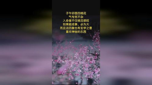 燕舞桃枝：探秘那些隐秘在桃花间的燕窝之谜