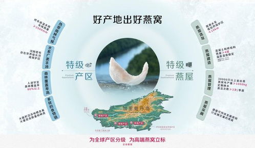 全球燕窝产地品质对比：揭秘哪些地区出产的更高品质燕窝