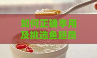 如何正确享用及挑选鱼翅燕窝饮品：全方位指南与常见问题解答