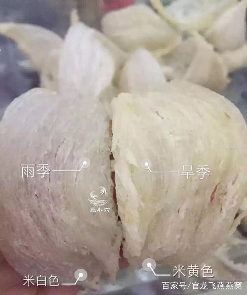 燕窝颜色解析：不同颜色燕窝的特点与挑选指南-燕窝的颜色有几种