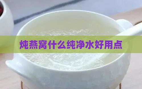 炖燕窝什么纯净水好用点