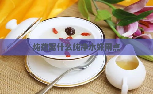 炖燕窝什么纯净水好用点