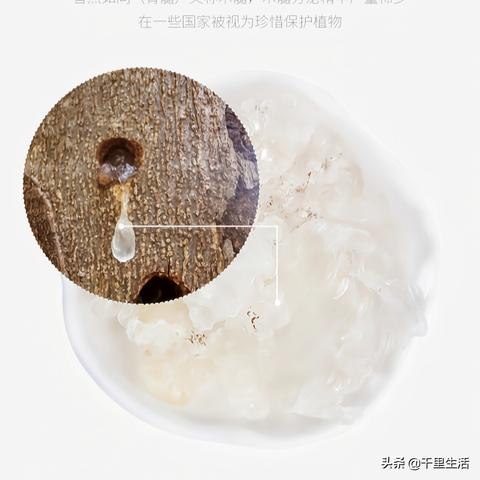 减脂期间如何安排燕窝摄入的更佳时间与频率：全面指南