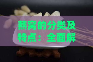 燕窝的分类及特点：全面解析各类燕窝的特性与功效