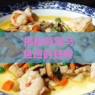 '揭秘燕窝与鱼翅的独特成分：探寻珍贵食材的奥秘'