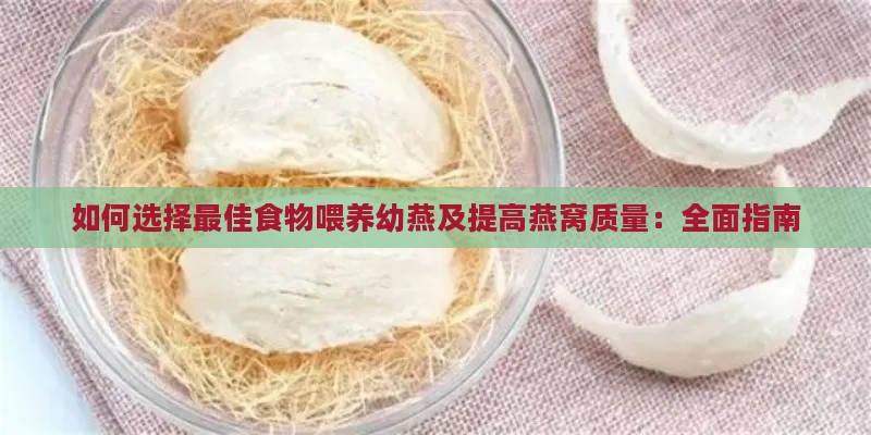 如何选择更佳食物喂养幼燕及提高燕窝质量：全面指南