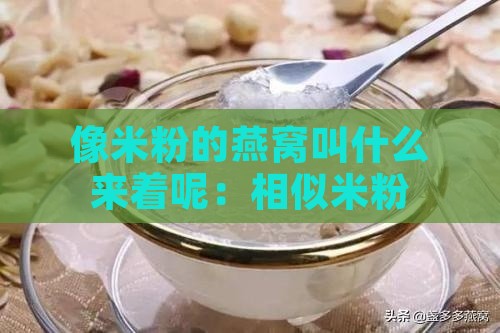 像米粉的燕窝叫什么来着呢：相似米粉之称的燕窝粉名是什么？