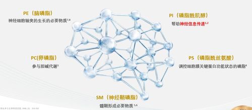 揭秘燕窝：深度解析其独特营养成分与构成